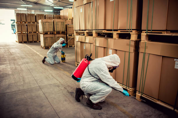 Best Cockroach Control Services  in Bassett, VA