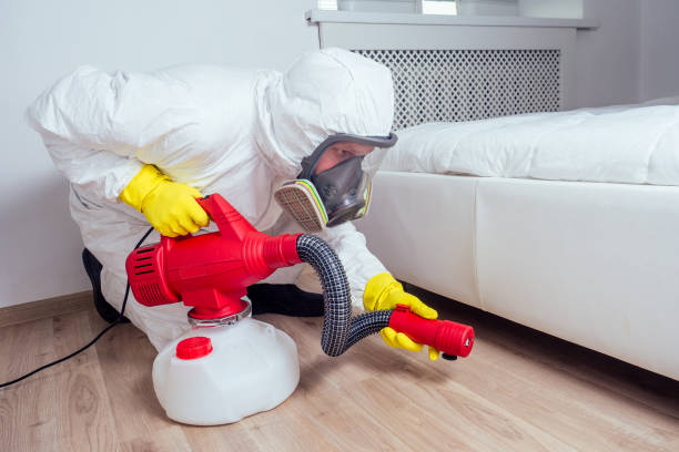 Best Residential Pest Control  in Bassett, VA