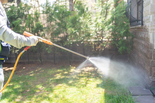 Best Best Pest Control Companies  in Bassett, VA