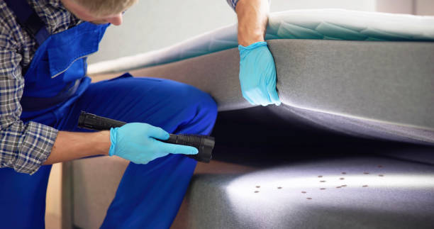 Best Bed Bug Extermination  in Bassett, VA