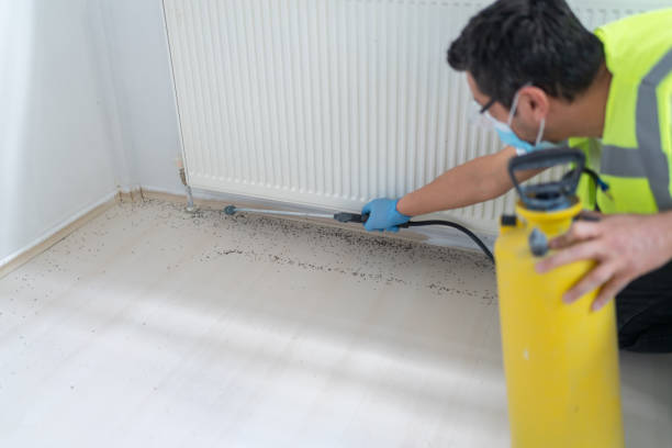 Best Mosquito Control Services  in Bassett, VA